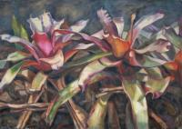 Bromeliad Blush - Oil On Canvas Paintings - By Claudia Thomas, Closed Landscape Painting Artist